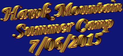 hawk mountain summer camp-70615